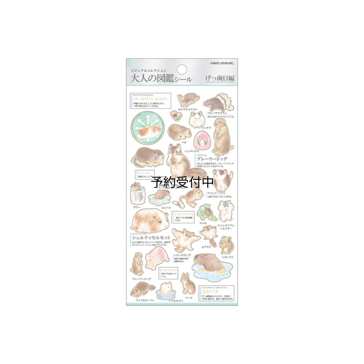 画像1: カミオジャパン シール 大人の図鑑シール げっ歯目 ２２６３２２ (1)