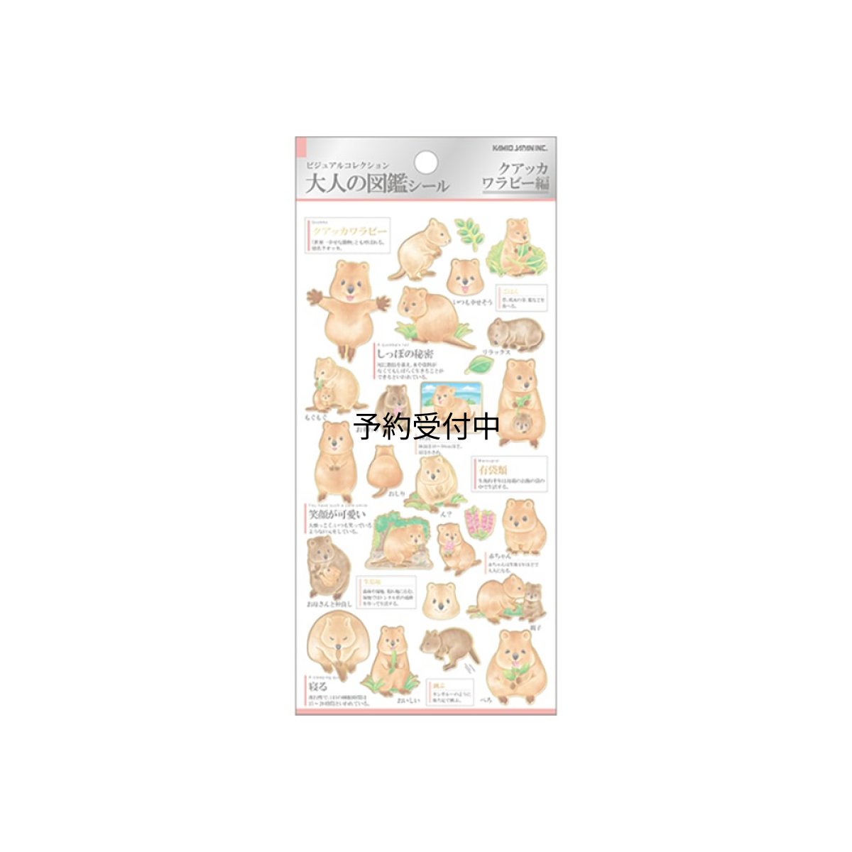 画像1: カミオジャパン シール 大人の図鑑シール クアッカワラビー ２２６３２７ (1)