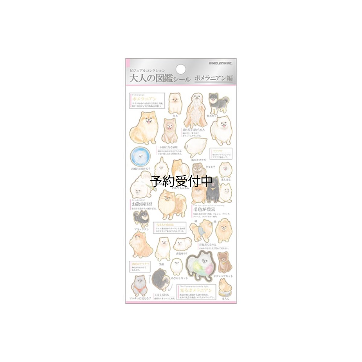 画像1: カミオジャパン シール 大人の図鑑シール ポメラニアン ２２６３２８ (1)