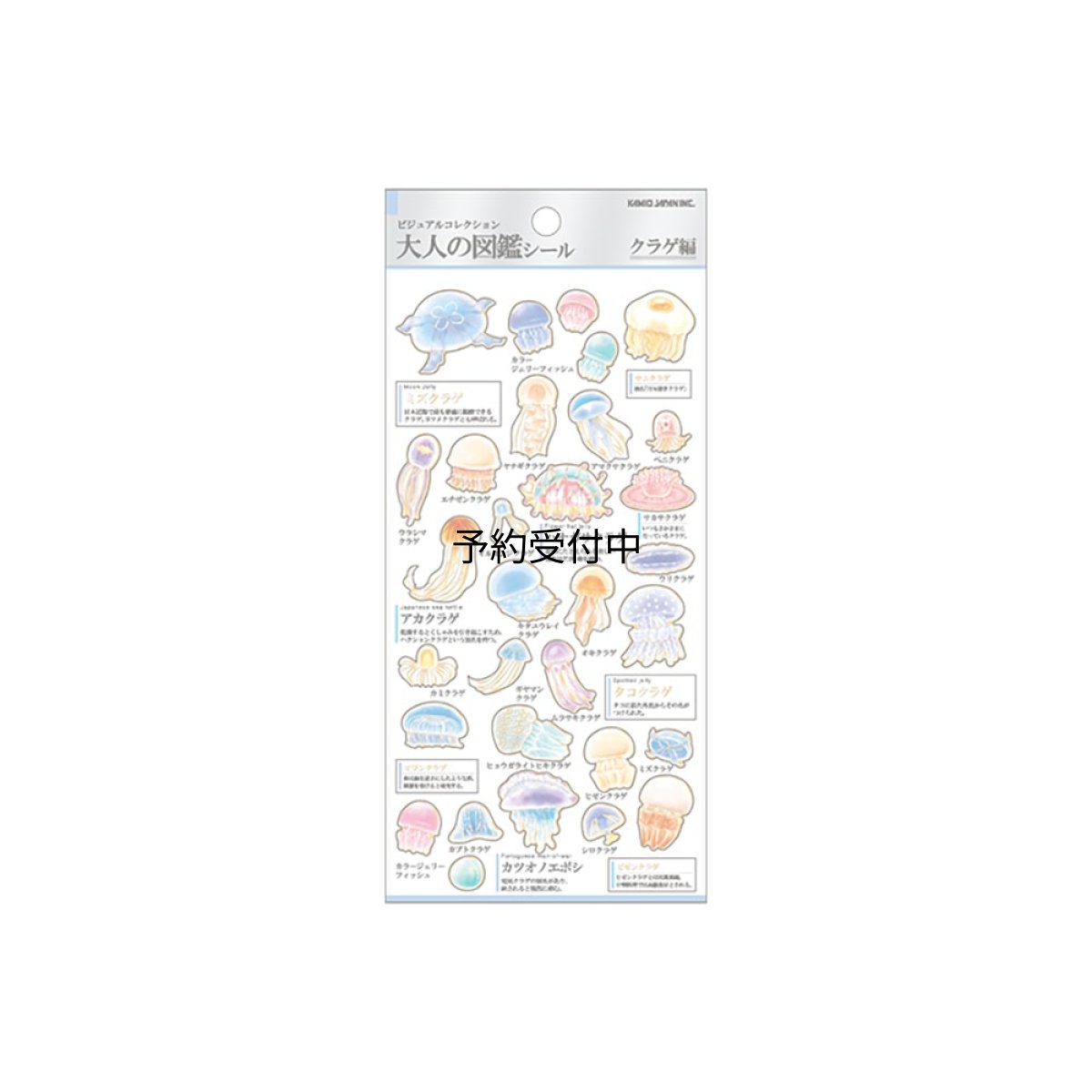 画像1: カミオジャパン シール 大人の図鑑シール クラゲ ２２６３３３ (1)