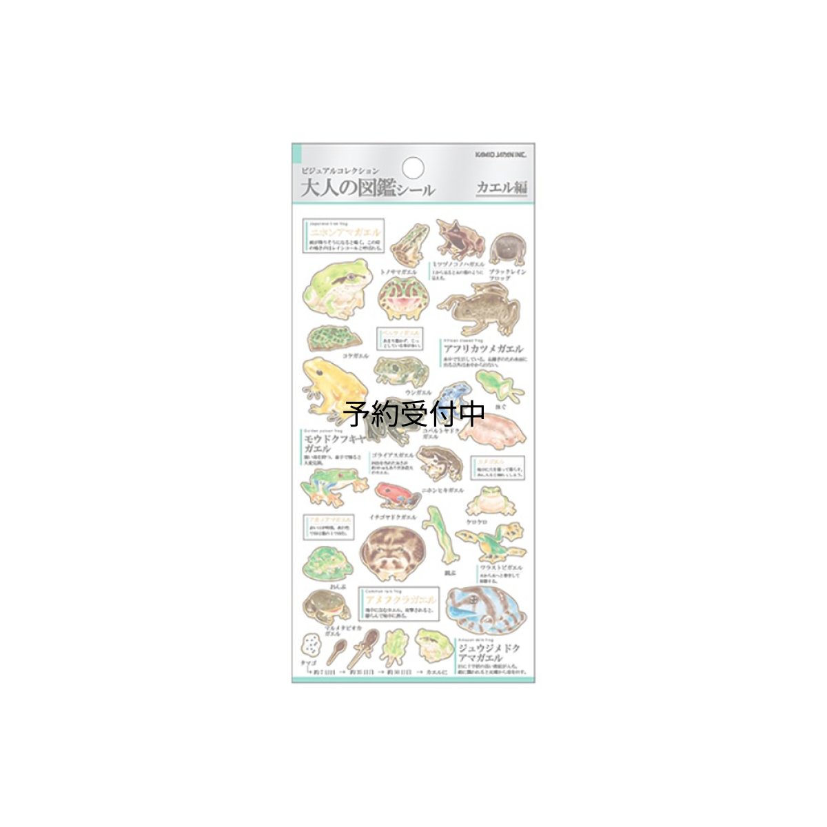 画像1: カミオジャパン シール 大人の図鑑シール カエル ２２６３４４ (1)