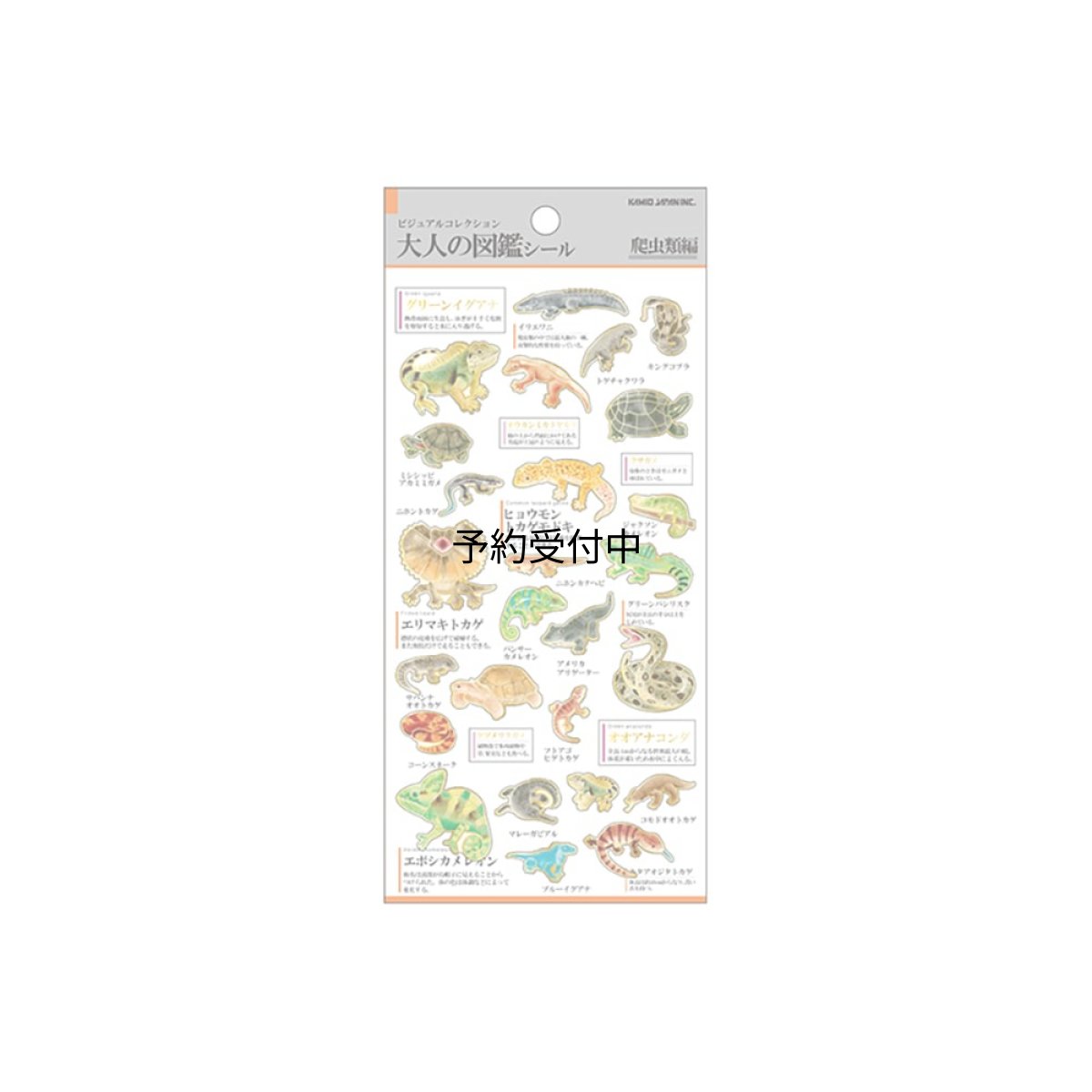 画像1: カミオジャパン シール 大人の図鑑シール 爬虫類 ２２６３４７ (1)