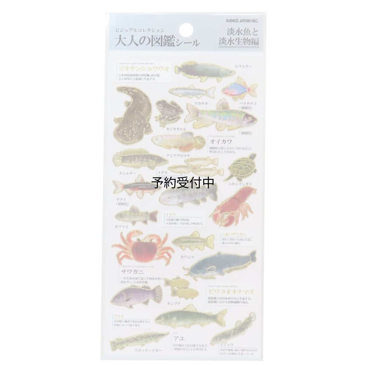 画像1: カミオジャパン シール 大人の図鑑シール 淡水魚 ２２８１１３ (1)