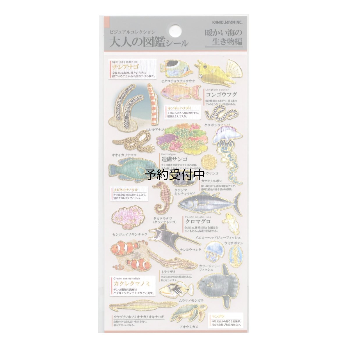 画像1: カミオジャパン シール 大人の図鑑シール 暖海の生き物 ２２８１１４ (1)