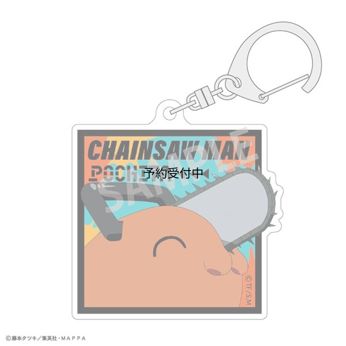 画像1: カミオジャパン チェンソーマン アクリルキーホルダー ポチタ Ｃ (1)