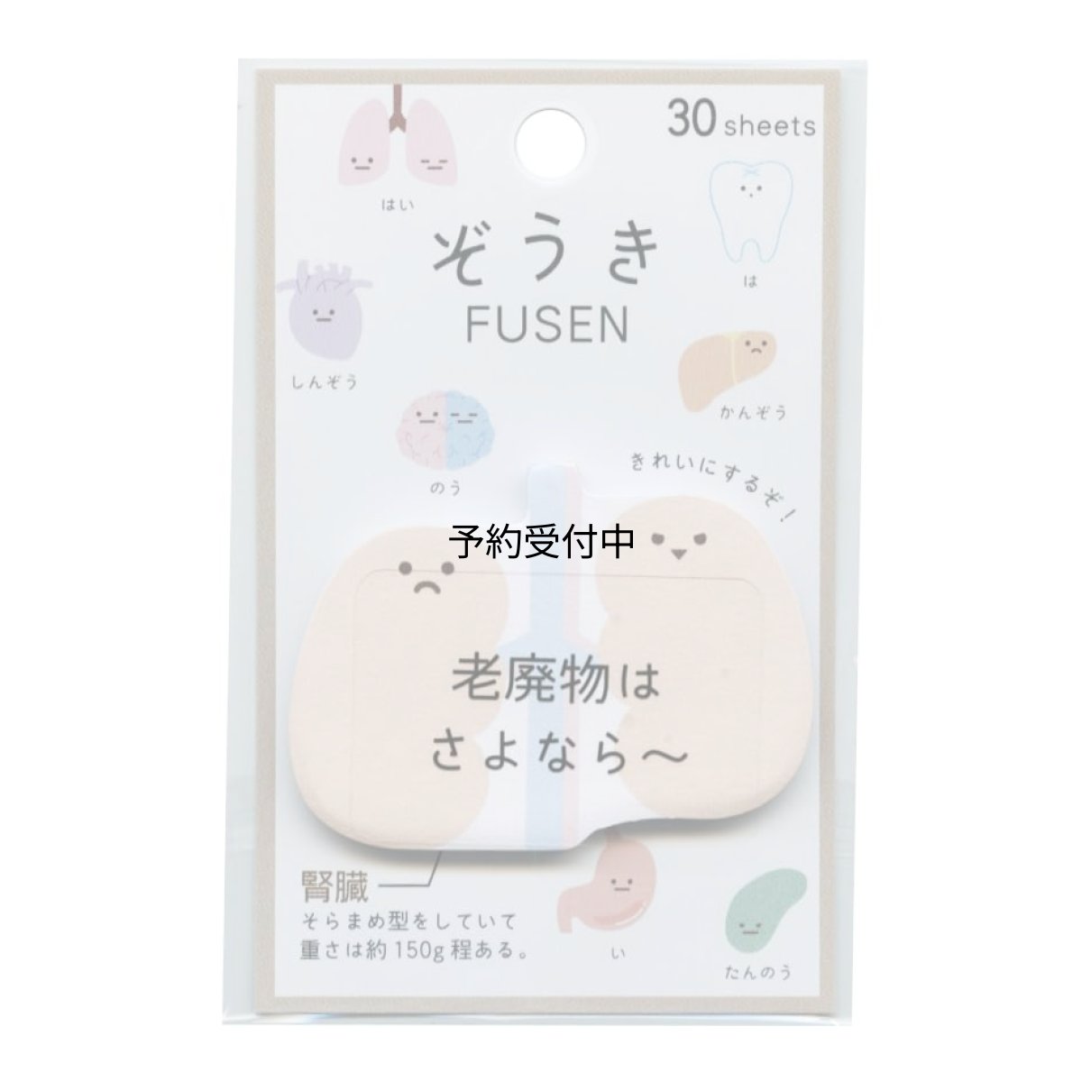 画像1: ぞうき ふせん ＦＵＳＥＮ腎臓ゆるい 臓器 ２２８６８４ (1)