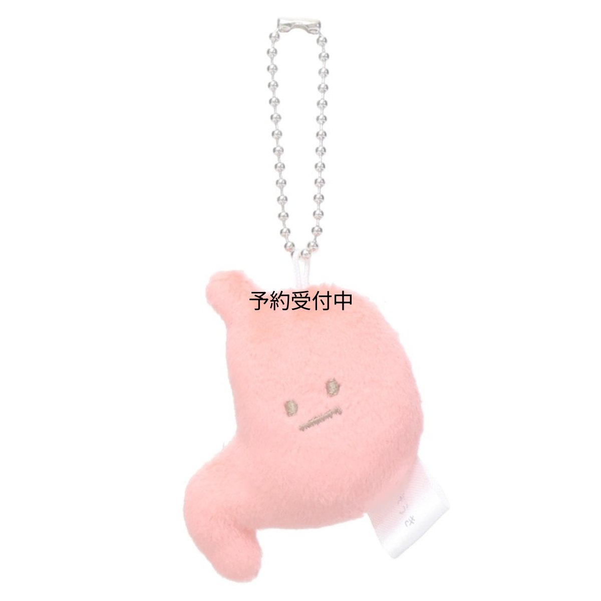 画像1: カミオジャパン マスコットぞうきマスコットキーホルダー 胃 (1)