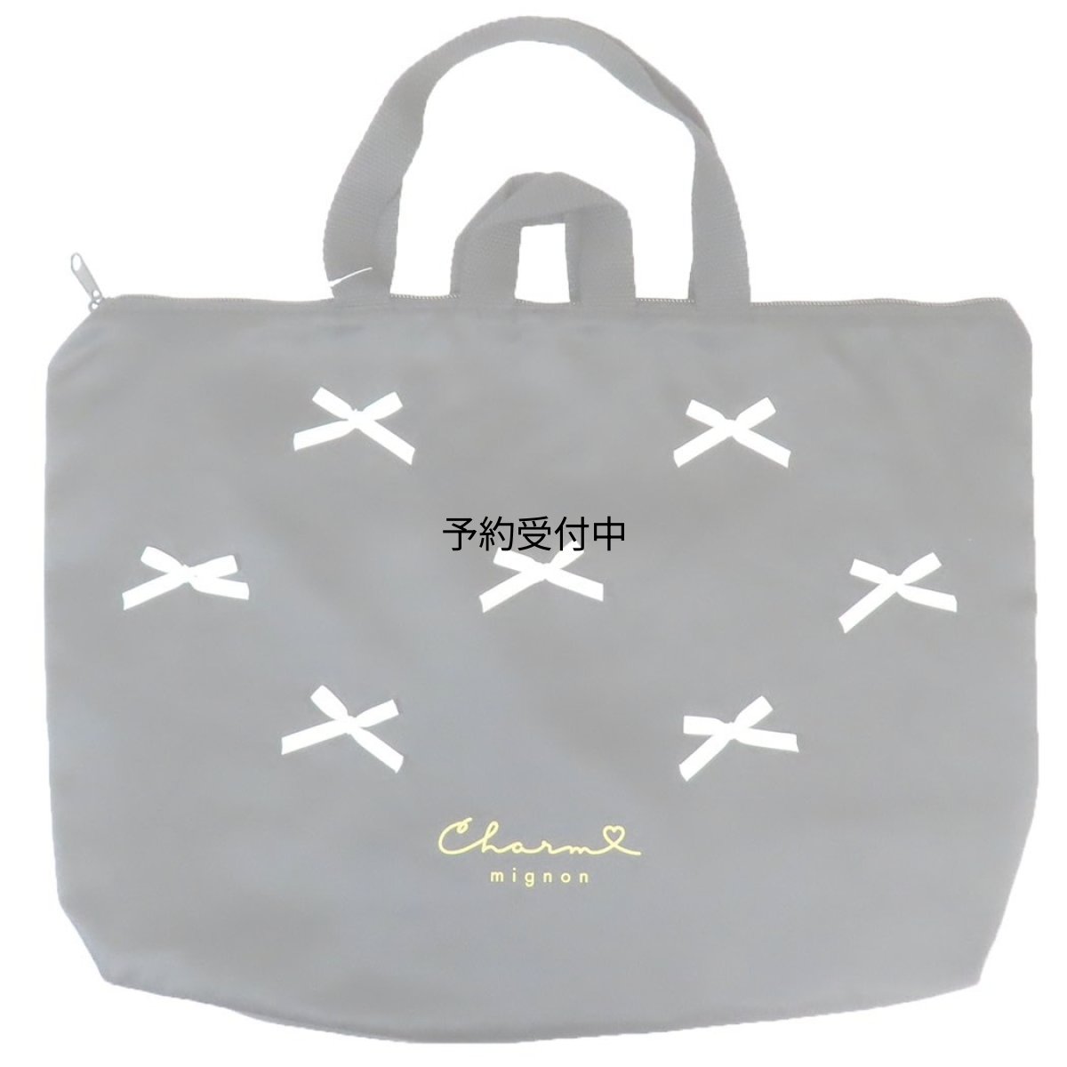 画像1: カミオジャパン 学校用袋 おけいこバッグ ＣＨＡＲＭ ＭＩＧＮＯＮ ２２８７７５ (1)