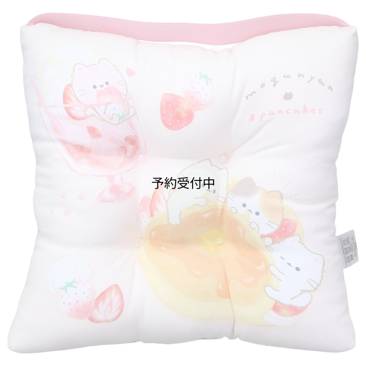 画像1: 子供用学校座布団スクールクッション もぐにゃん カミオジャパン 新学期準備雑貨 かわいい グッズ 通販 (1)