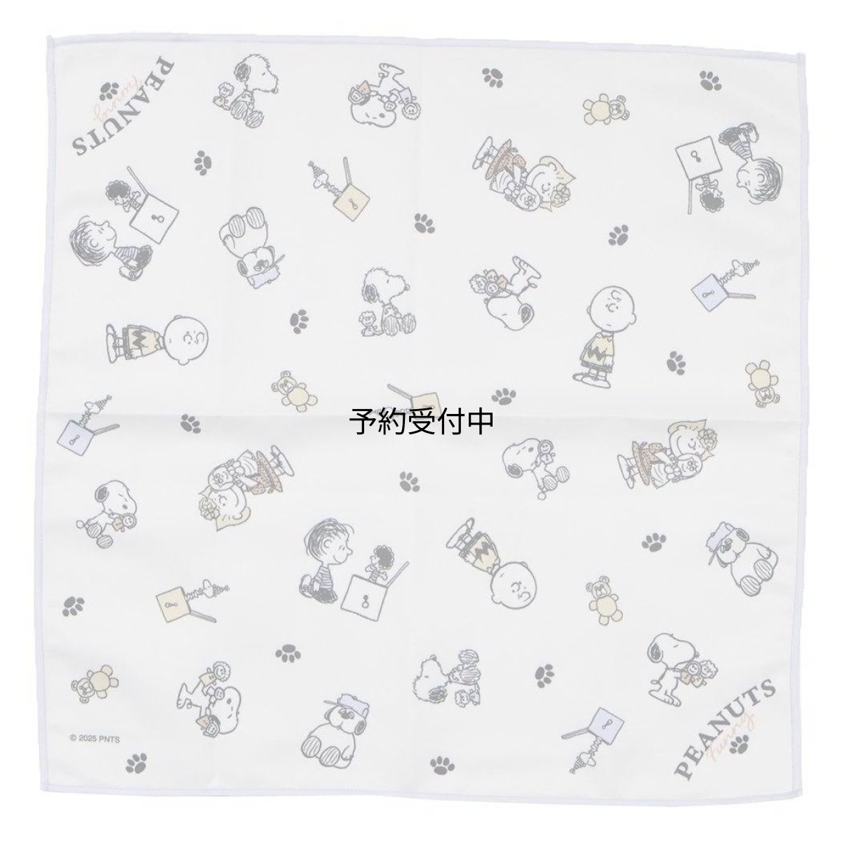 画像1: スヌーピーランチクロスお弁当箱ナフキン ＦＵＮＮＹ ＰＥＡＮＵＴＳ ピーナッツ (1)