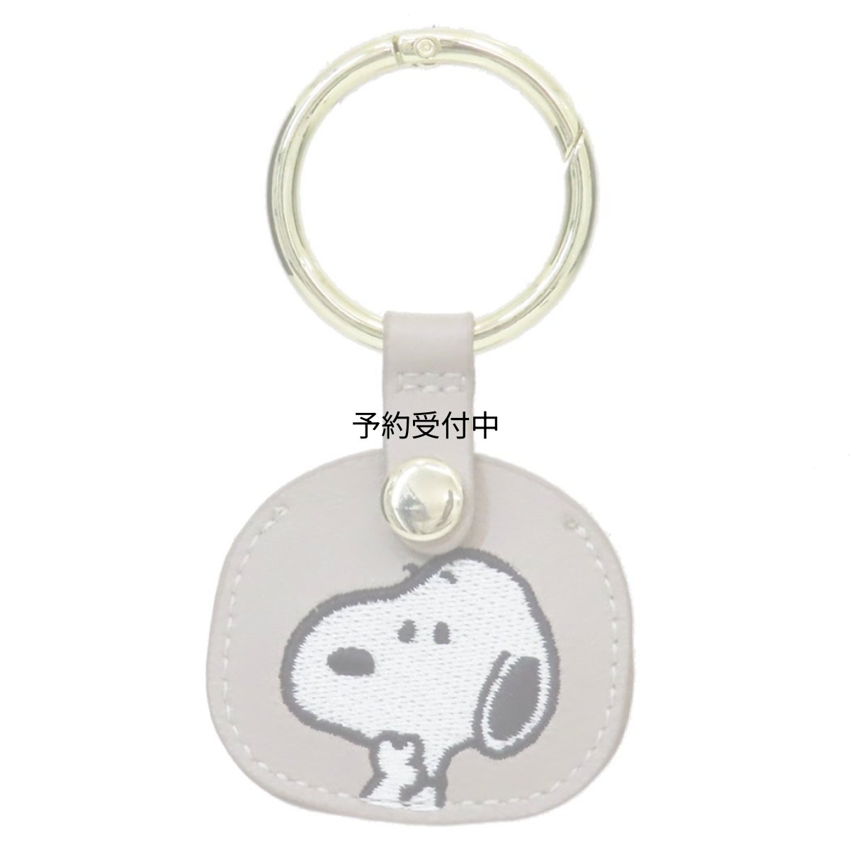 画像1: カミオジャパン スヌーピーキーリング５００円玉キーチャーム のんびり ピーナッツ (1)