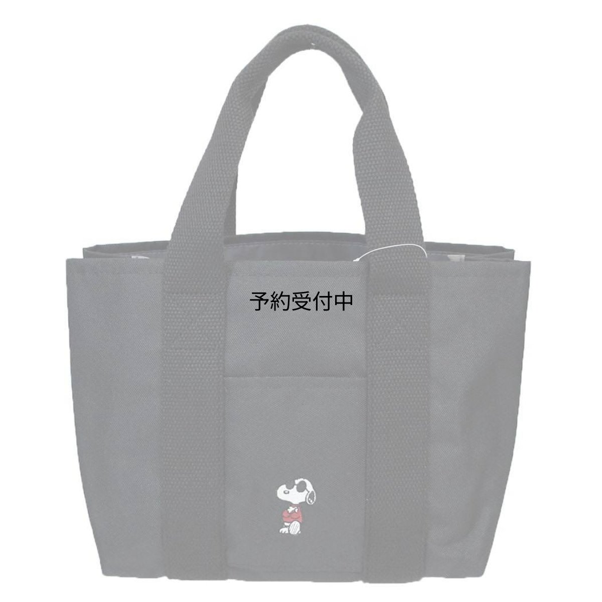 画像1: カミオジャパン スヌーピー手提げかばん収納上手ミニトート Ｃｈｅｃｋ ｉｔ ｏｕｔ！ ピーナッツ (1)