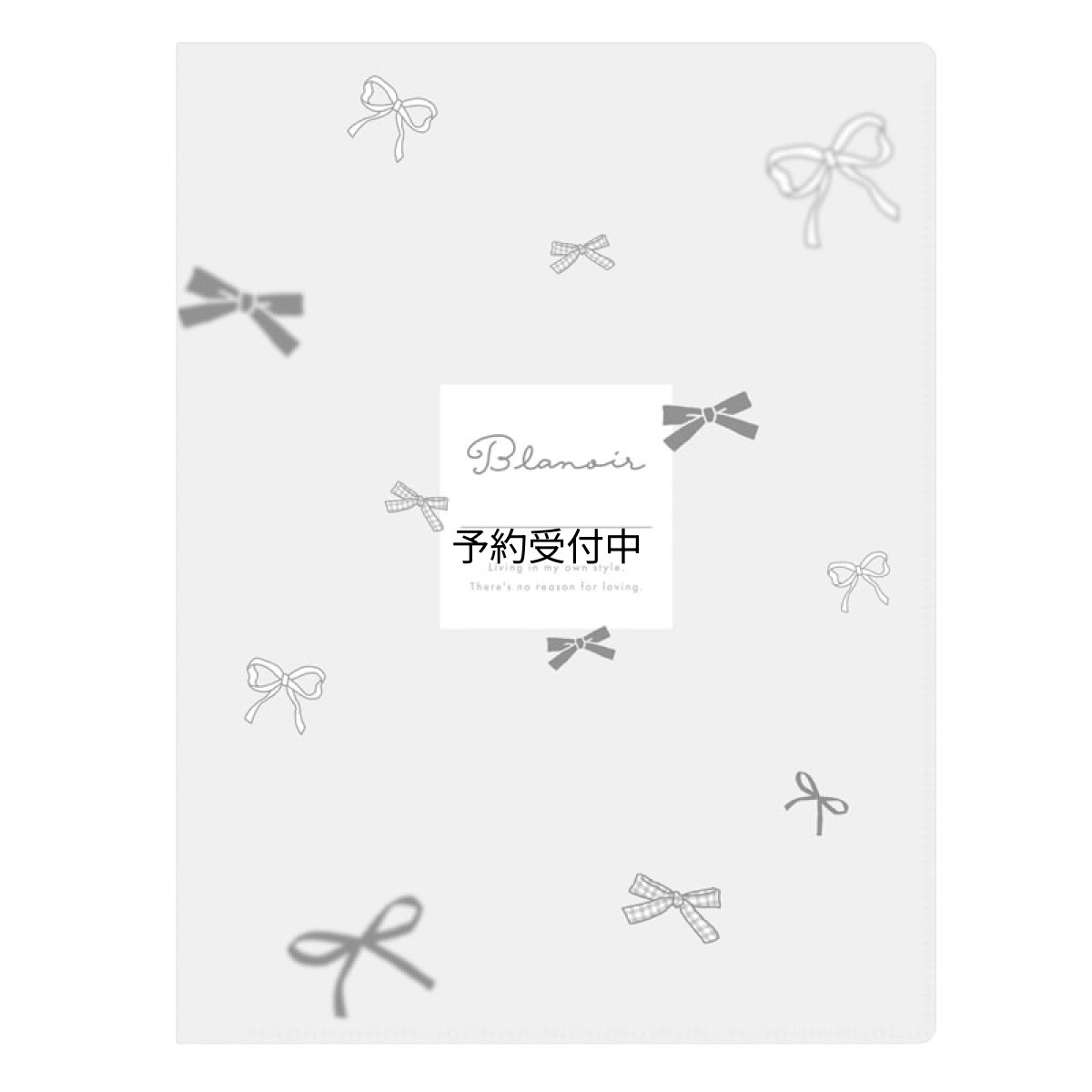 画像1: カミオジャパン クリアファイル １０Ｐ ＢＬＡＮＯＩＲ ＭＩＳＴ ＲＩＢＢＯＮ ２３０２６１ (1)