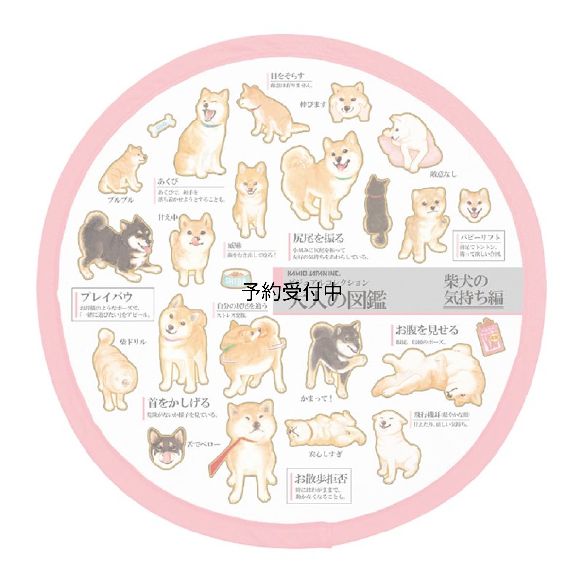 画像1: カミオジャパン うちわ 大人の図鑑折りたたみうちわ 柴犬の気持ち ２３１９３６ (1)