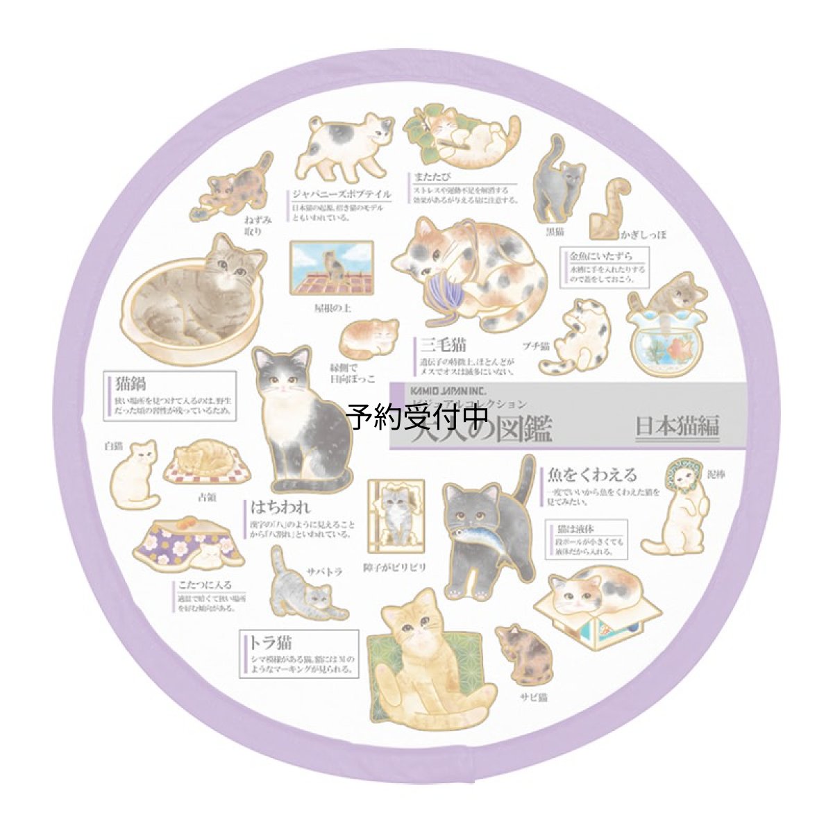 画像1: カミオジャパン うちわ 大人の図鑑折りたたみうちわ 日本猫 ２３１９３７ (1)