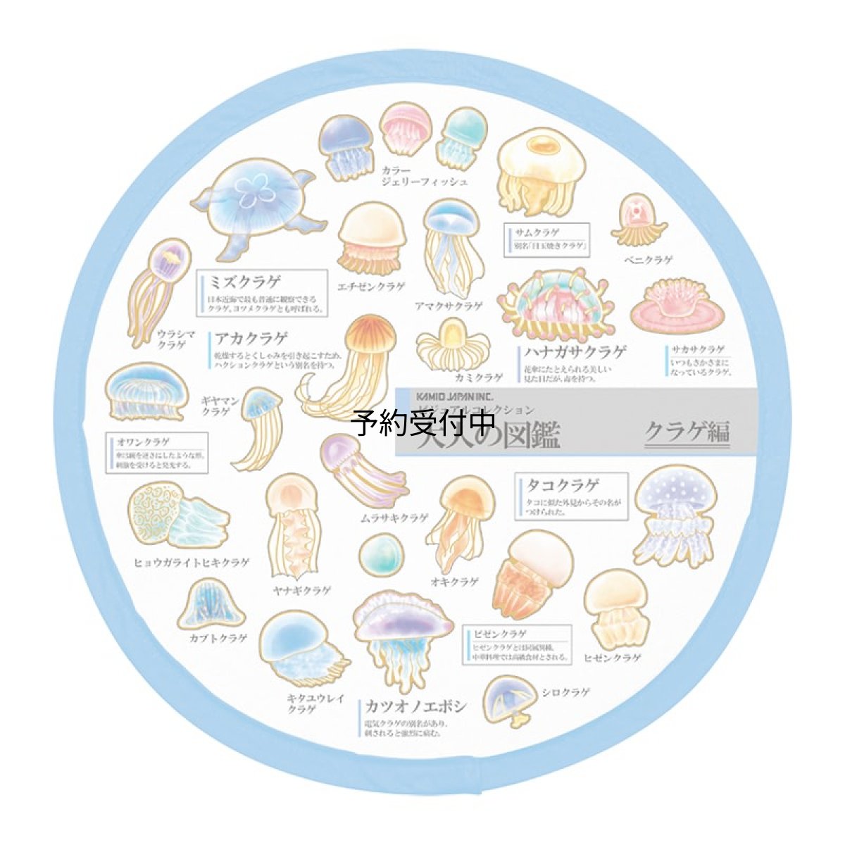 画像1: カミオジャパン うちわ 大人の図鑑折りたたみうちわ クラゲ ２３１９３９ (1)