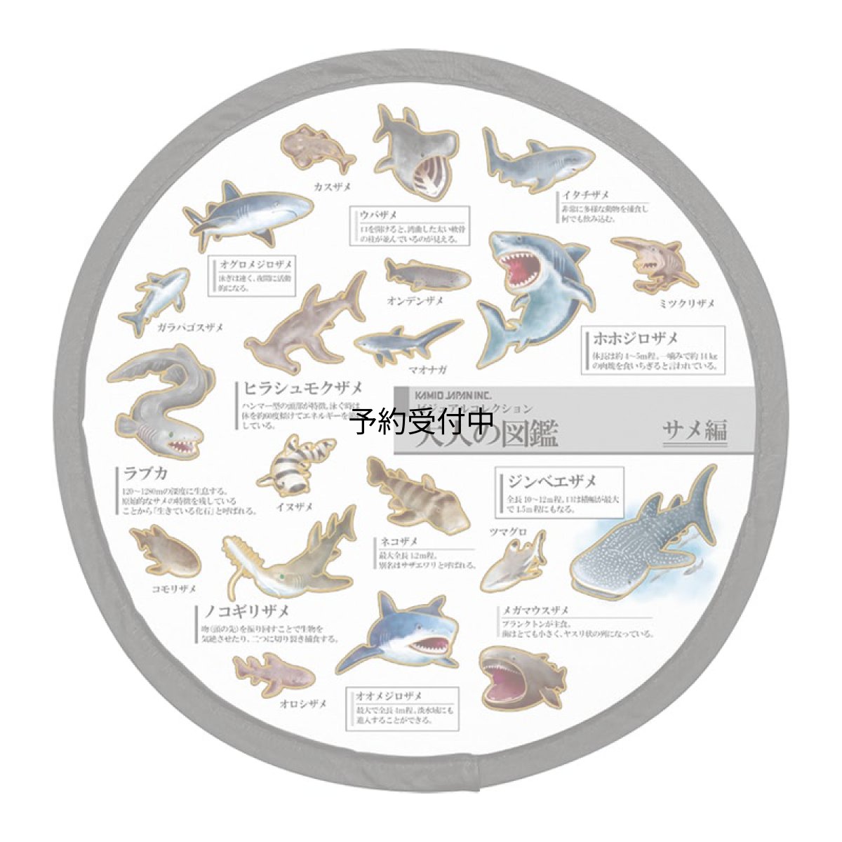 画像1: カミオジャパン うちわ 大人の図鑑折りたたみうちわ サメ ２３１９４１ (1)