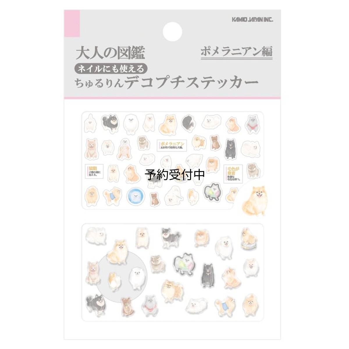 画像1: カミオジャパン ステッカー チュルリンデコプチステッカー 大人の図鑑 ポメラニアン編 ２３３３７５ (1)