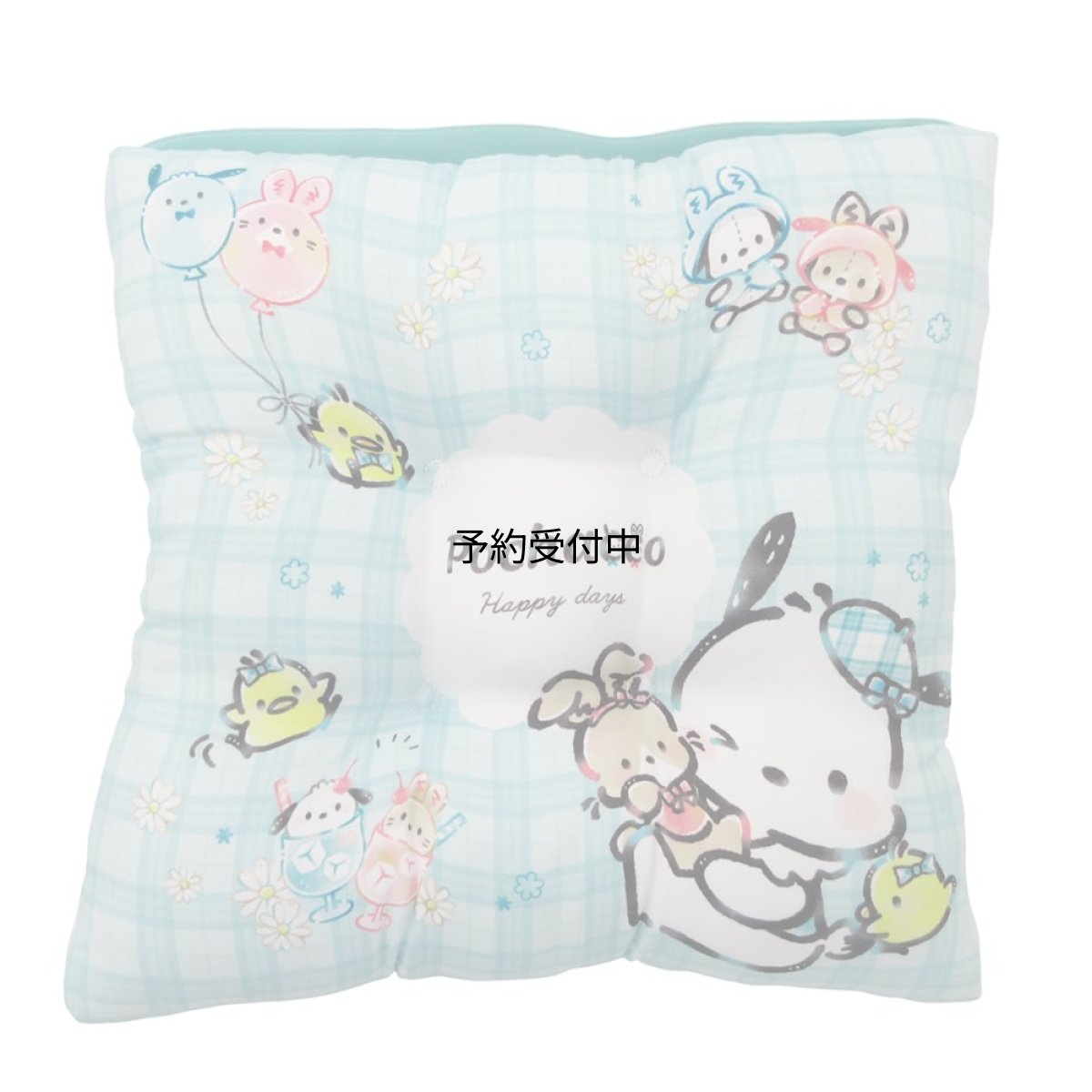 画像1: ポチャッコ子供用学校座布団スクールクッション チェックルック サンリオ (1)