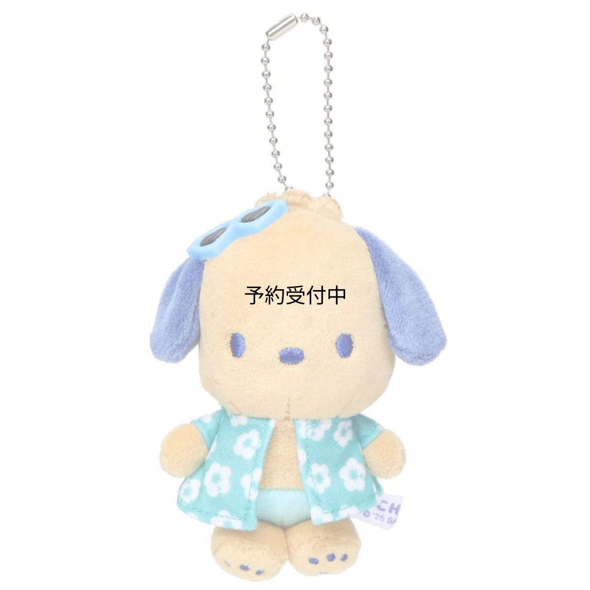 画像1: サンリオ ポチャッコ マスコットキーホルダー ナイトパーティ (1)