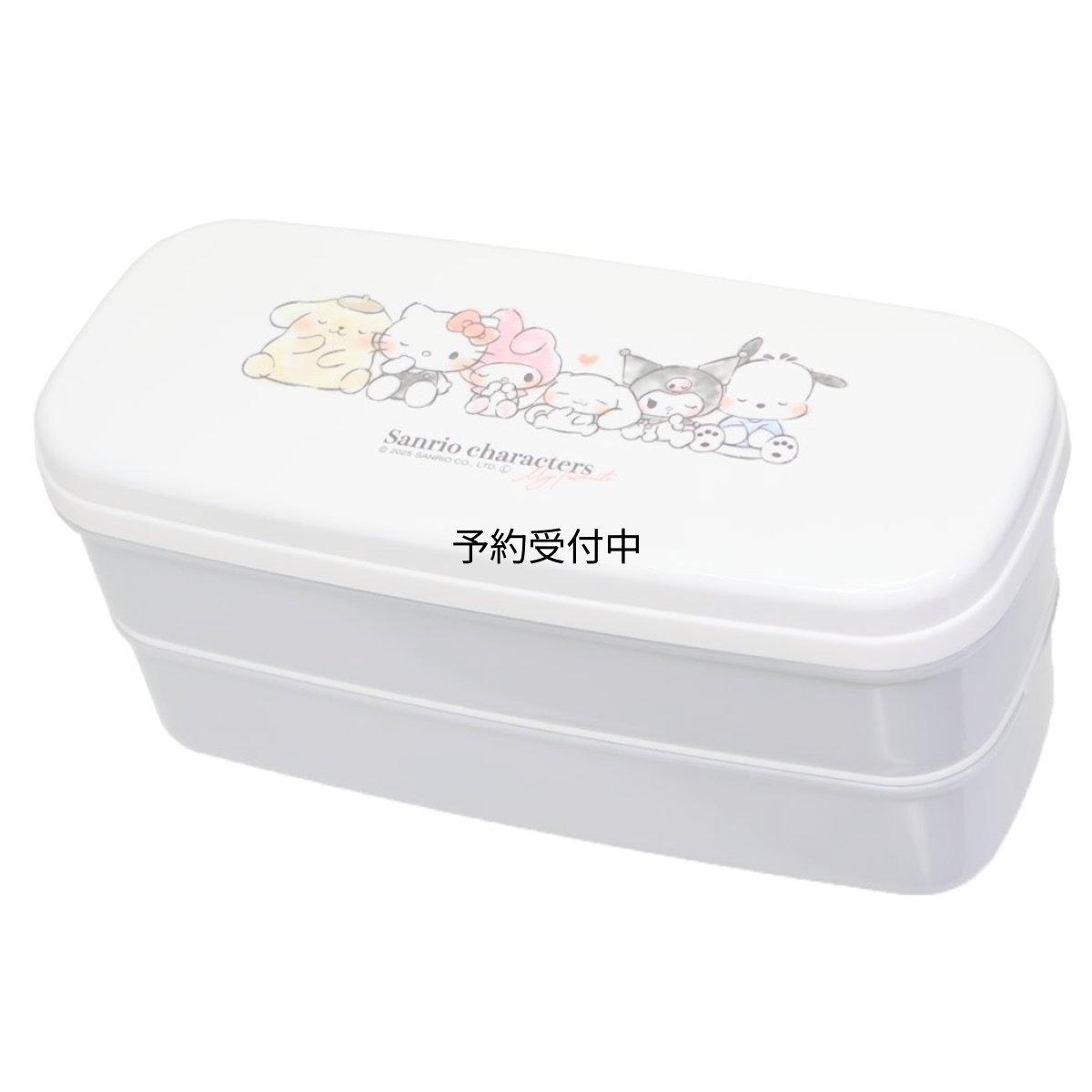画像1: サンリオ スリム２段ランチボックス サンリオキャラクターズ (1)