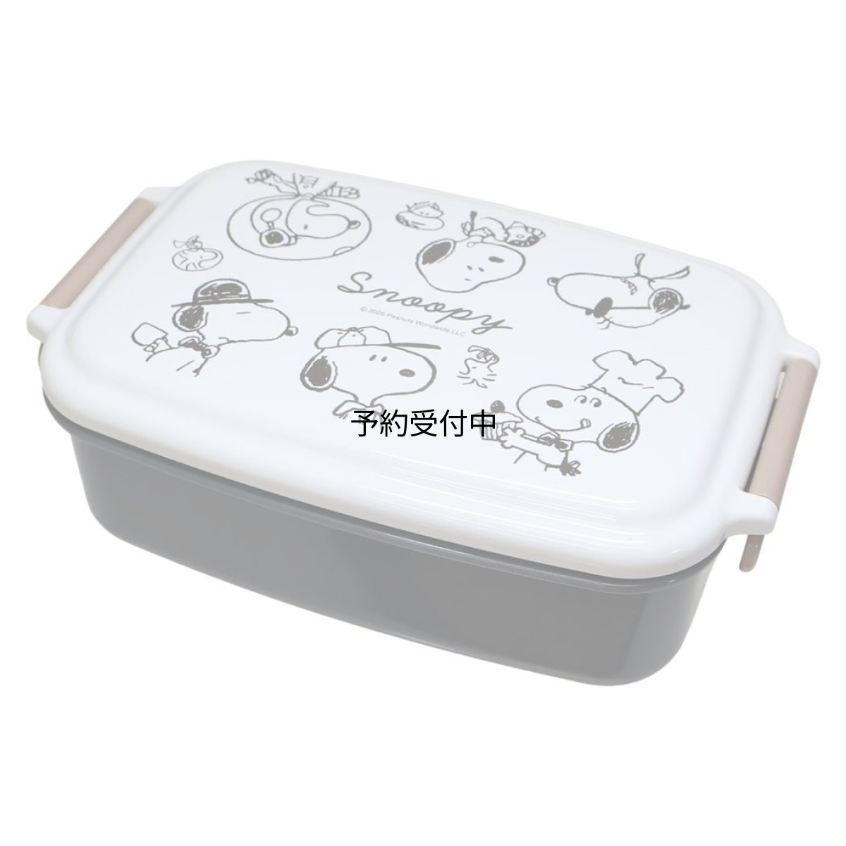 画像1: スヌーピーお弁当箱抗菌 １段ランチボックス エブリデイコスチューム ピーナッツ (1)
