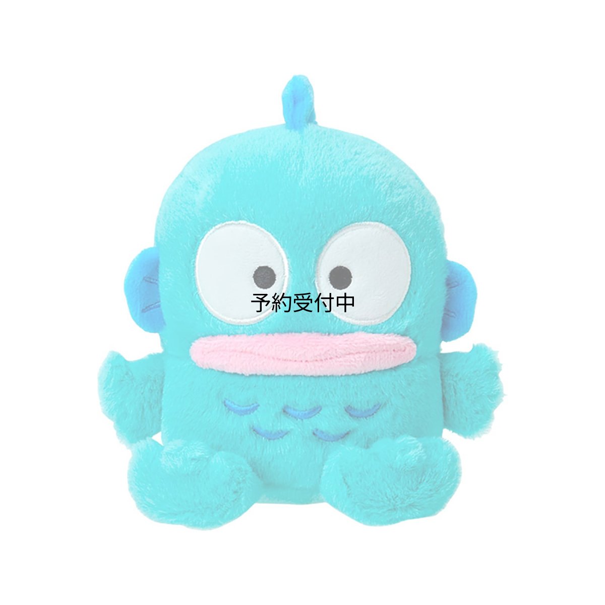 画像1: サンリオ（ＳＡＮＲＩＯ） ぬいぐるみＳ ハンギョドン １４７２８１ (1)