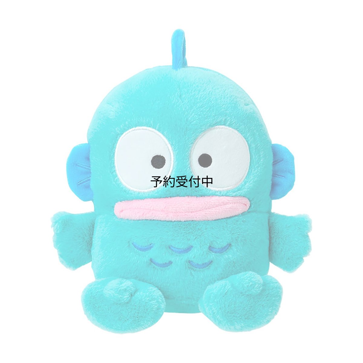画像1: サンリオ（ＳＡＮＲＩＯ） ぬいぐるみＭ ハンギョドン １４７９２３ (1)