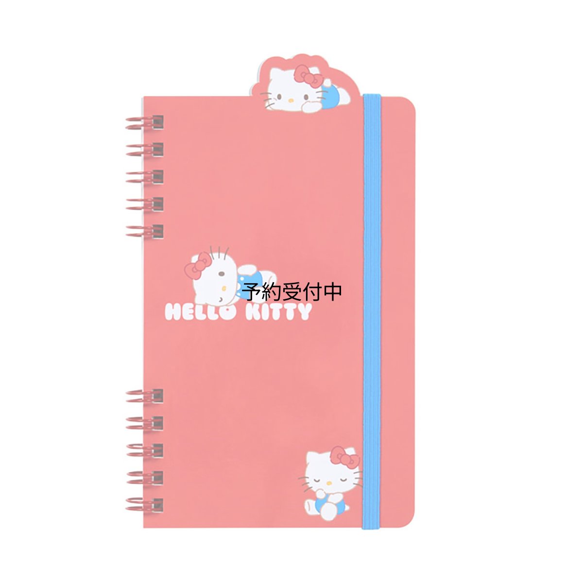 画像1: サンリオ（ＳＡＮＲＩＯ） リングノート ハローキティ ５９８５５１ (1)