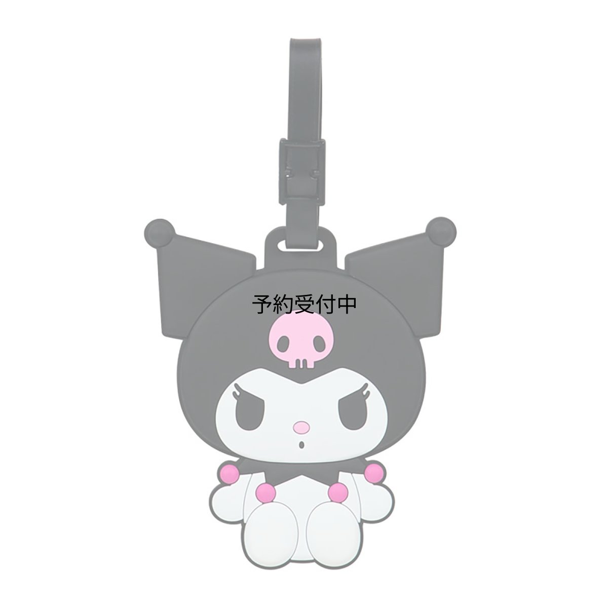 画像1: サンリオ（ＳＡＮＲＩＯ） ラゲッジタグ クロミＰＶＣ・ＰＥＴ・紙ネームカード付き ６８１８１４ (1)