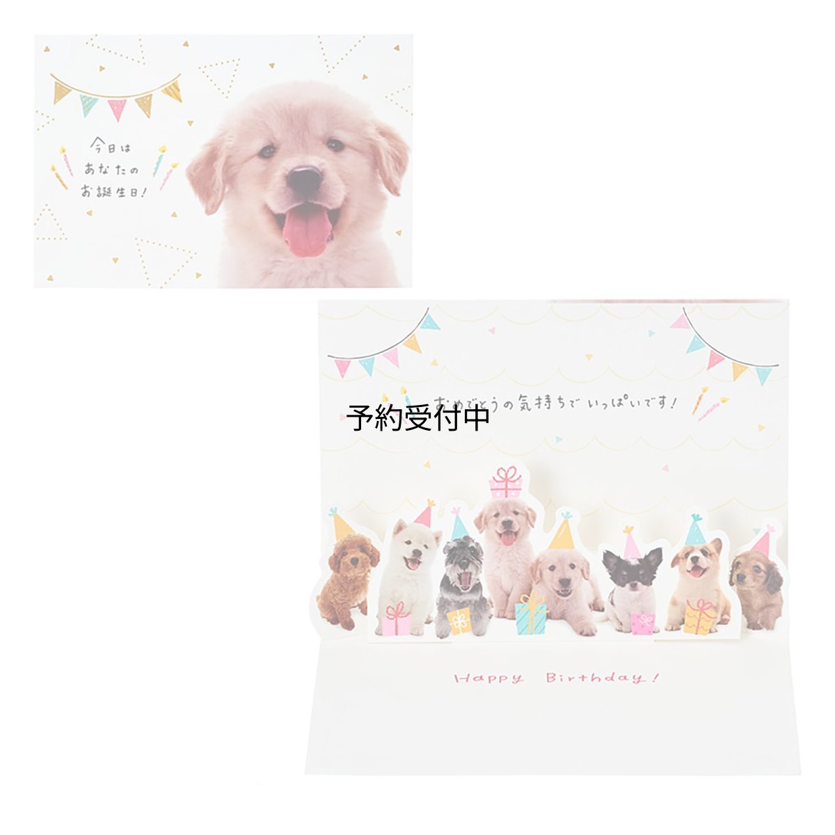 画像1: サンリオ（ＳＡＮＲＩＯ） グリーティングカード 誕生日祝い フォトイヌの顔 ＢＤ３２１?６ ８７８８４７ (1)