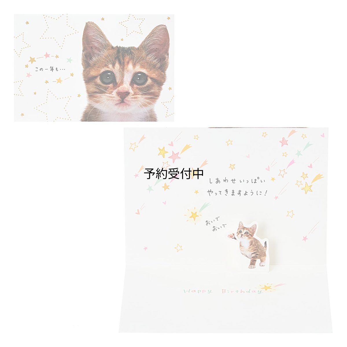 画像1: サンリオ（ＳＡＮＲＩＯ） グリーティングカード 誕生日祝い フォトネコの顔 ＢＤ３２２?６ ８７８９２８ (1)