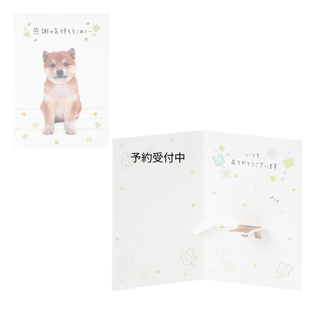 画像1: サンリオ（ＳＡＮＲＩＯ） グリーティングカード 感謝 フォトイヌ全身 ＴＹ３２３?６ ８７８９４４ (1)