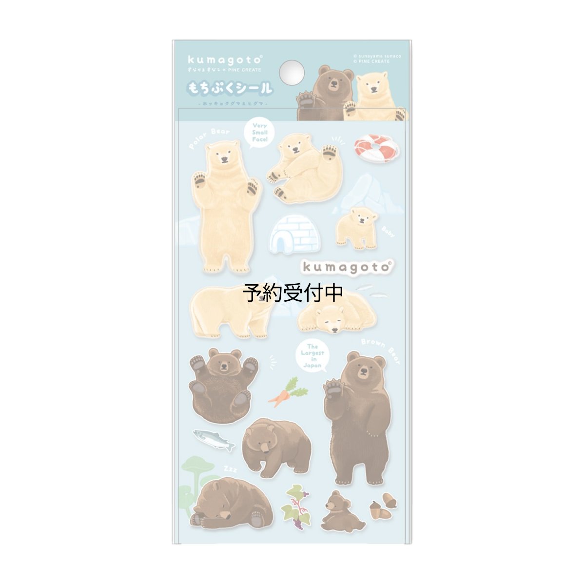 画像1: パイン・クリエイト ｋｕｍａｇｏｔｏ もちぷくシール ホッキョクグマ・ヒグマ サイズ：約Ｗ９．５ Ｈ２０ ２５Ｐ４６１７３ (1)