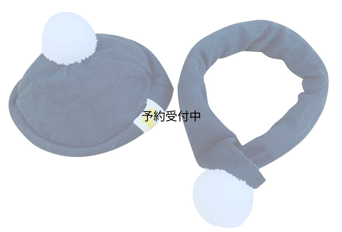 画像1: かえるのピクルスファボリ用ニットキャップ＆マフラー (1)