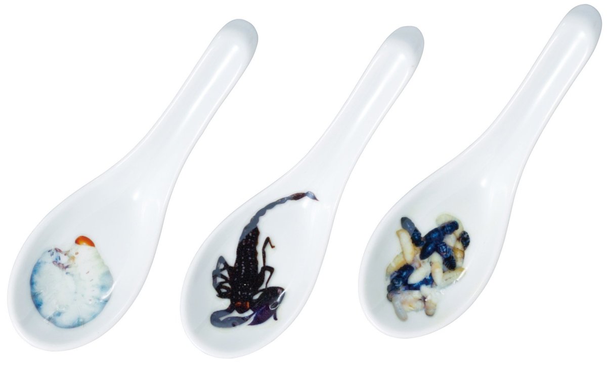 画像1: サンアート おもしろ食器 「 世界の美食 ゲテモノ 」 芋虫・サソリ・ハチノコ（３本セット） レンゲ ＳＡＮ２１３１ (1)