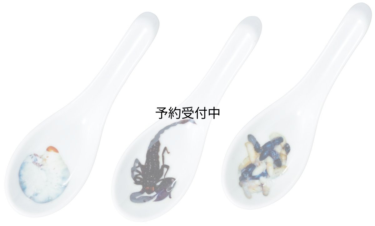 画像1: サンアート おもしろ食器 「 世界の美食 ゲテモノ 」 芋虫・サソリ・ハチノコ（３本セット） レンゲ ＳＡＮ２１３１ (1)