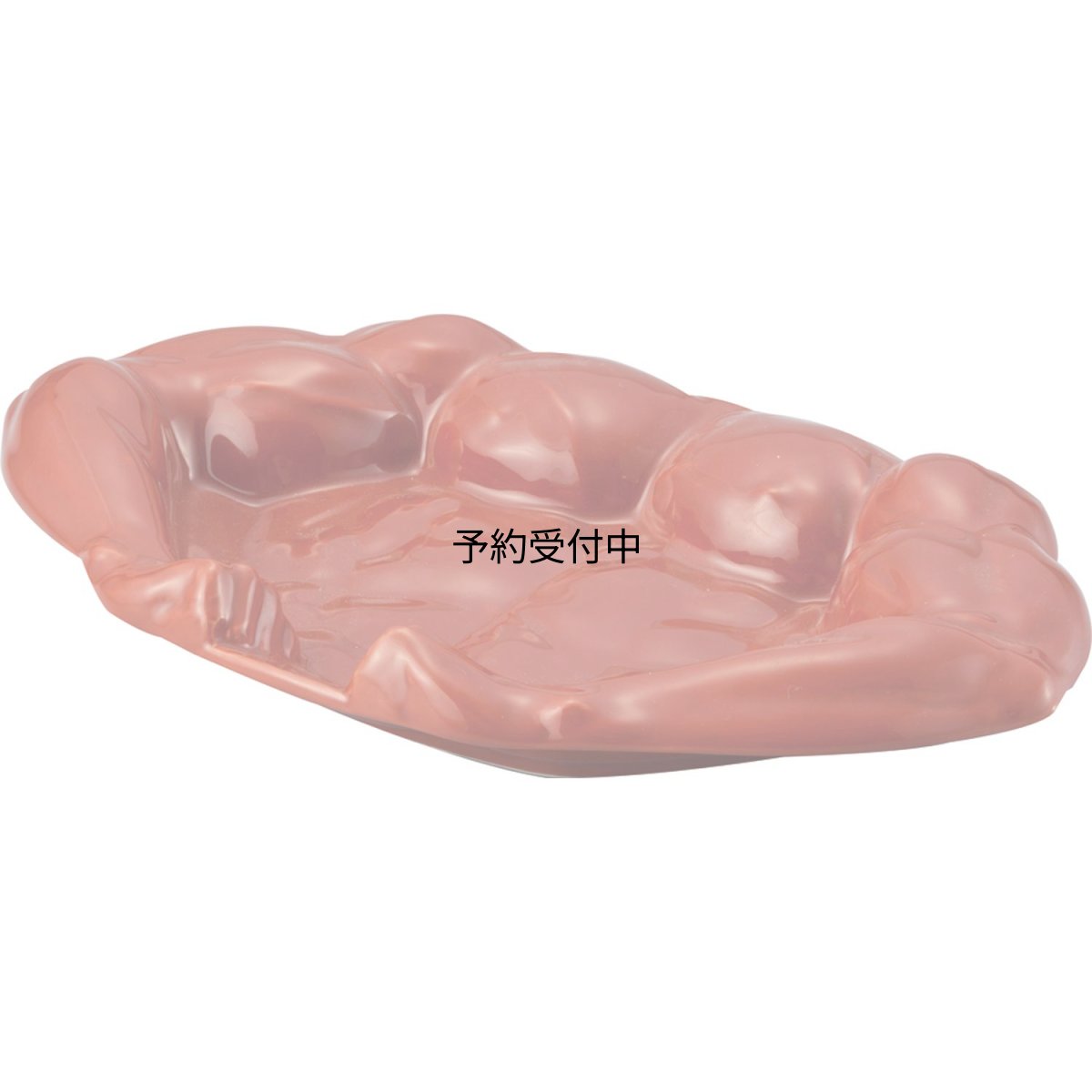 画像1: おもしろ食器 ボディビルダー カレー皿 ＳＡＮ２７０３ (1)