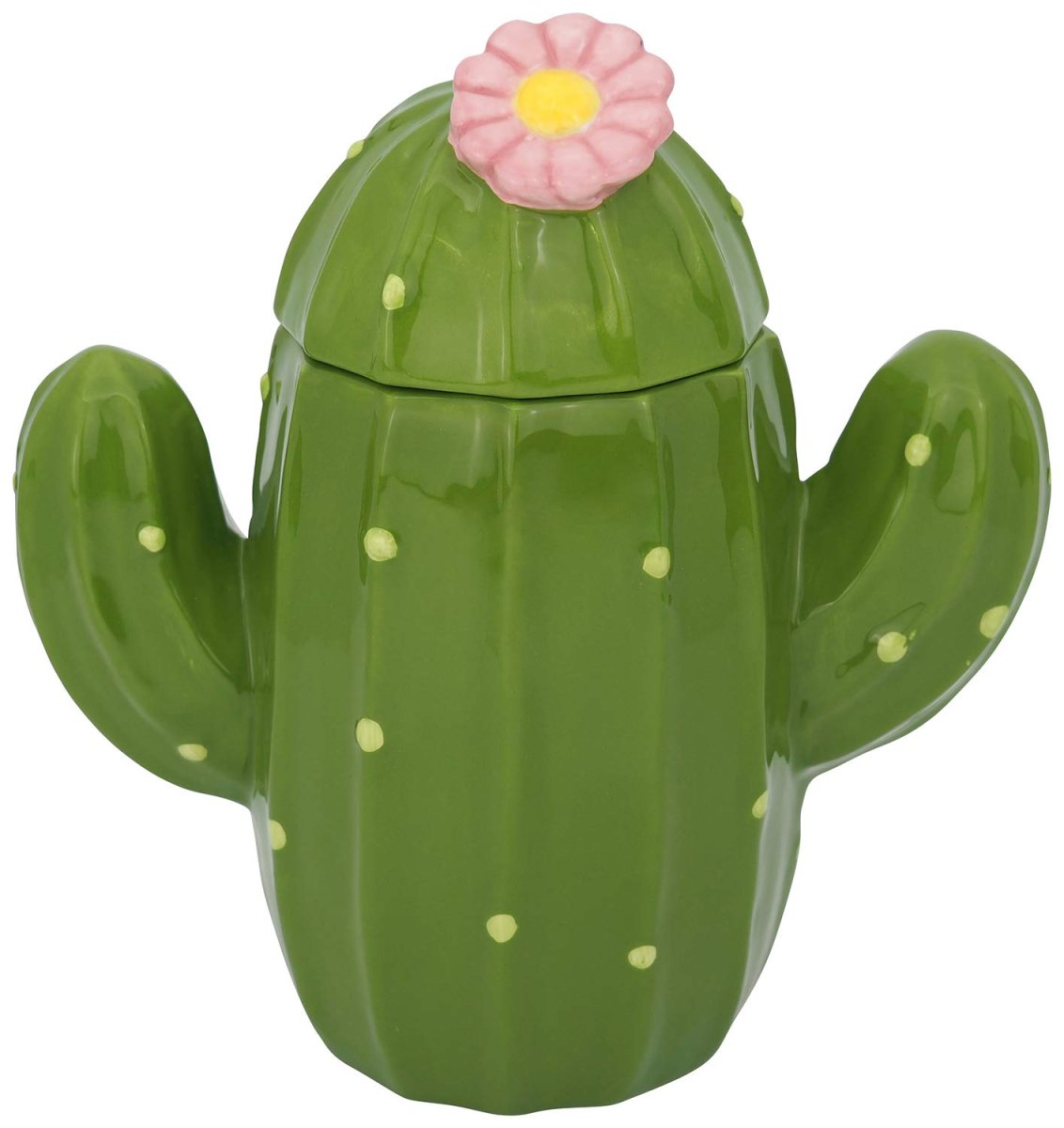 画像1: サンアート かわいい食器 「 野菜と果物シリーズ 」 サボテン 保存容器・キャニスター ５５０ｍｌ ＳＡＮ２９３８ (1)
