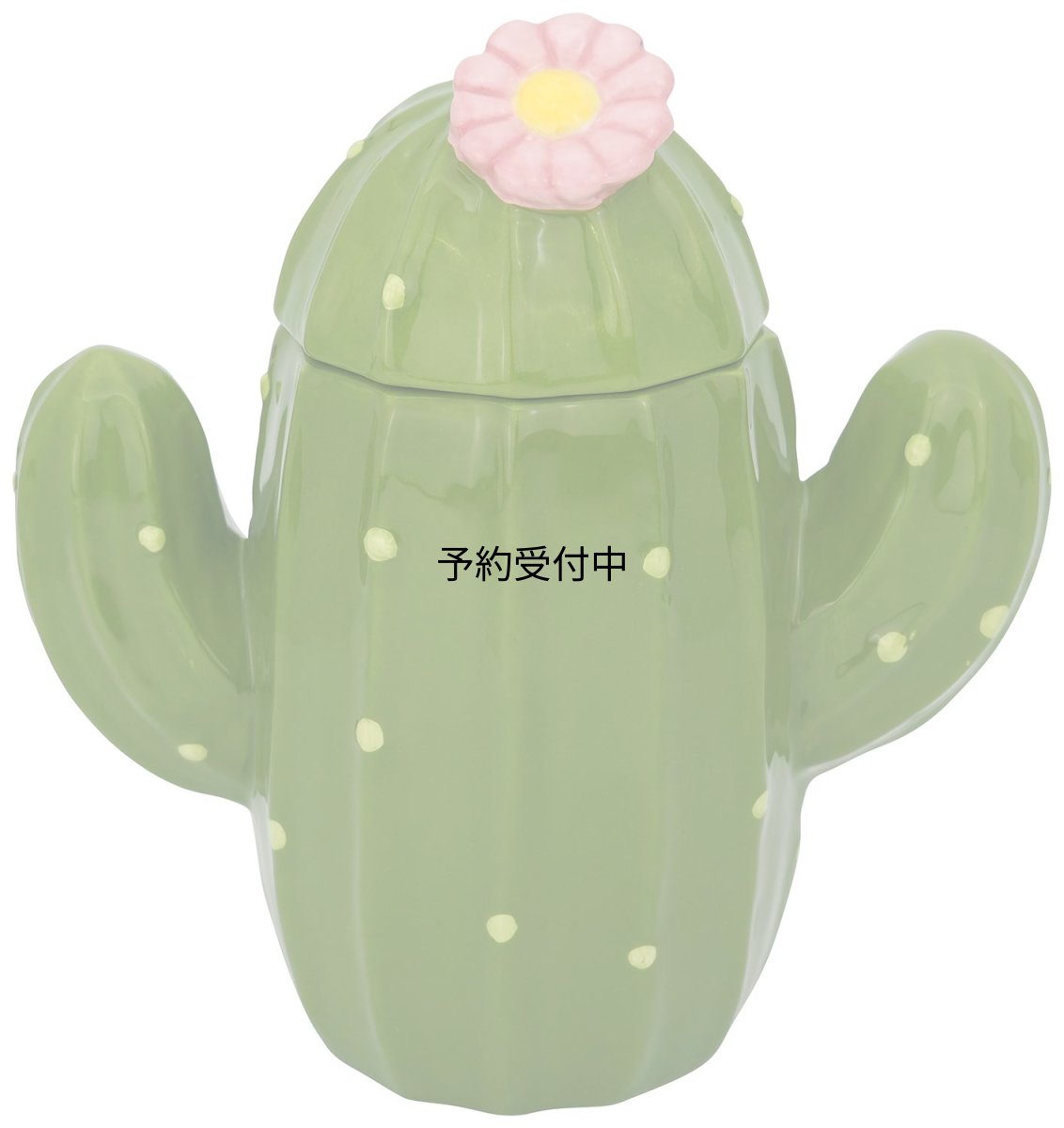 画像1: サンアート かわいい食器 「 野菜と果物シリーズ 」 サボテン 保存容器・キャニスター ５５０ｍｌ ＳＡＮ２９３８ (1)