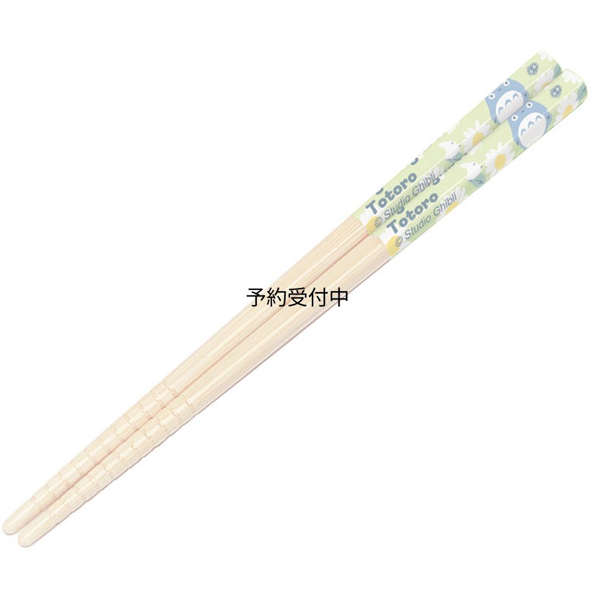 画像1: スケーター（Ｓｋａｔｅｒ） 箸 竹箸 １６．５ｃｍ トトロ デイジー ジブリ 日本製 ＡＮＴ２ (1)