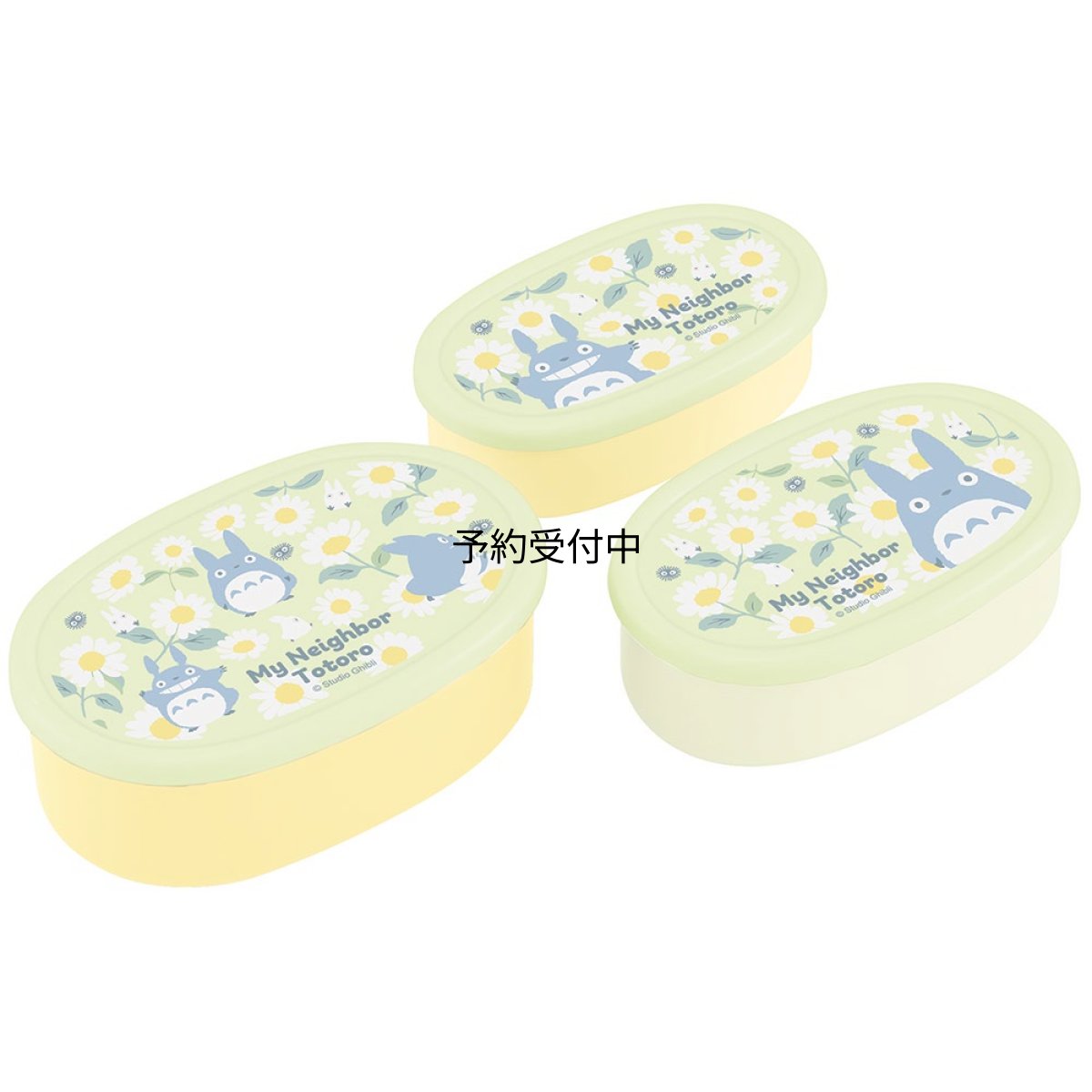 画像1: スケーター（Ｓｋａｔｅｒ） 弁当箱 抗菌 保存容器 ランチボックス ３個セット 日本製 ジブリ となりのトトロ デイジー ＳＲＳ３ＳＡＧ?Ａ (1)