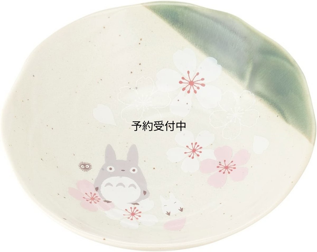 画像1: スケーター （ｓｋａｔｅｒ） ＳＴＵＤＩＯ ＧＨＩＢＬＩ 美濃焼 中鉢 となりのトトロ スタジオジブリ １６ｘ５ｃｍ ＣＨＭＤ２?Ａ (1)