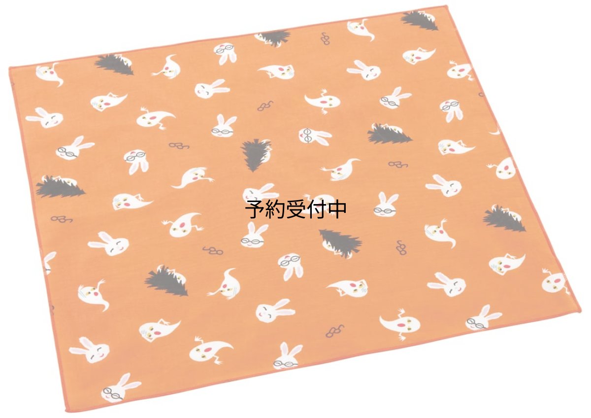 画像1: スケーター（Ｓｋａｔｅｒ） ランチクロス 子供用 お弁当 ４３×４３ｃｍ 日本製 めがねうさぎ 男の子 女の子 ＫＢ４?Ａ (1)