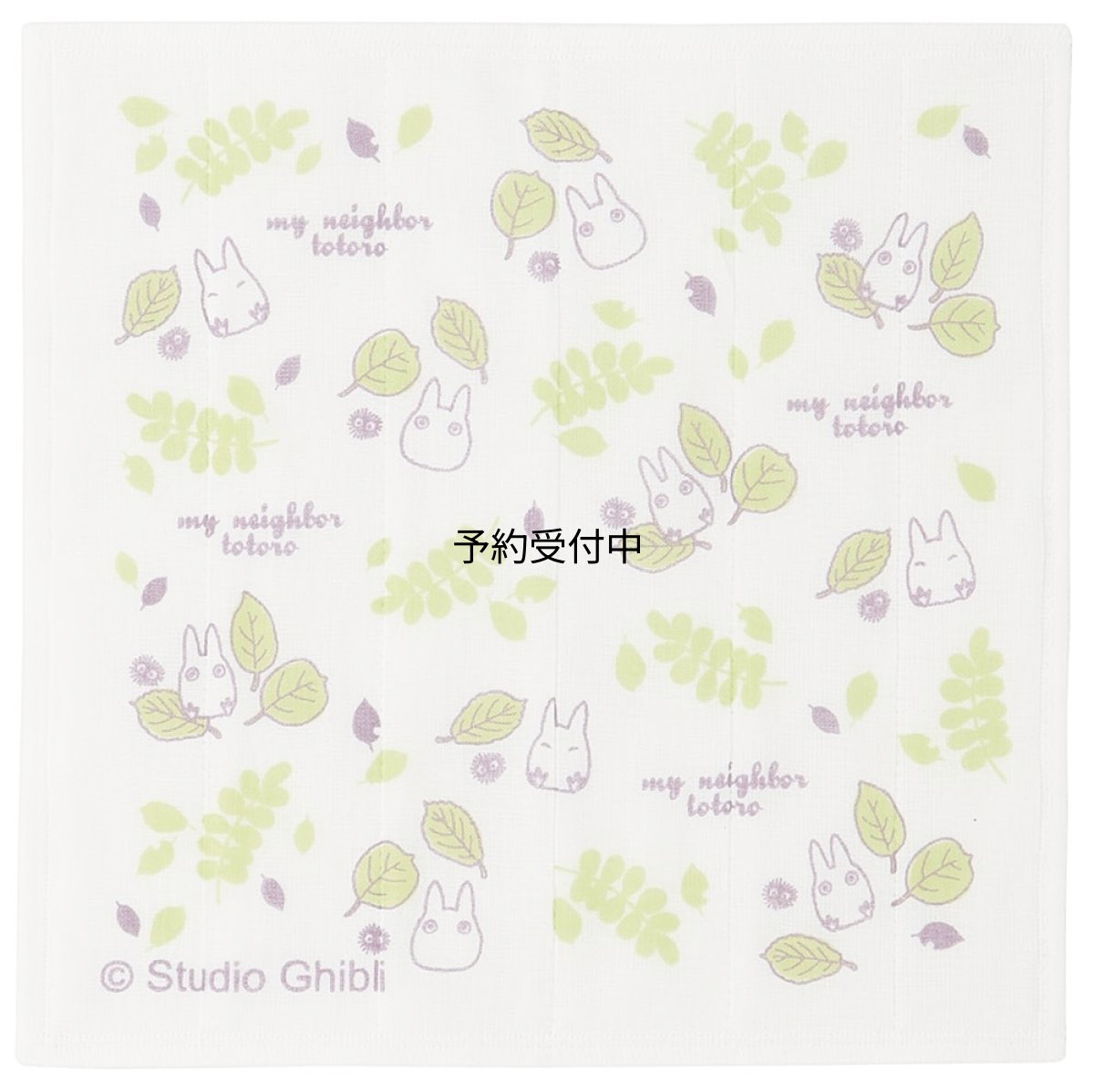 画像1: スケーター（Ｓｋａｔｅｒ） かや生地 ふきん ３０×３０ｃｍ 台拭き となりのトトロ 小トトロ スタオジブリ 日本製 ＫＦＫ１?Ａ (1)