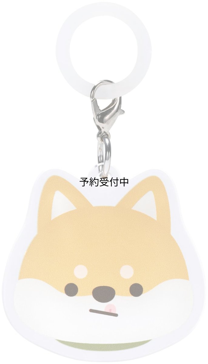 画像1: スケーター（Ｓｋａｔｅｒ） アンブレラ マーカー 傘 レイン グッズ ぱぷぱぷぱぴー ＳＨＩＢＡ 柴 犬 ＺＵＭ１?Ａ (1)