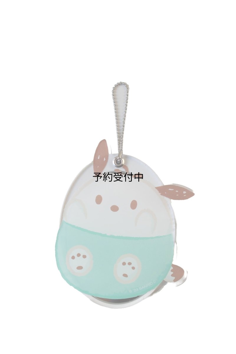 画像1: サンリオキャラクターズ スライドミラ? ポチャッコ (1)